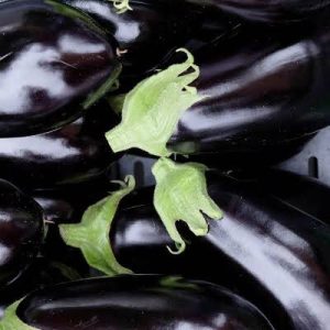 Large Eggplant, Each