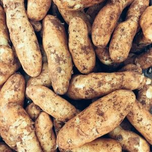 Kipfler Potatoes, Tray (500 Grams)