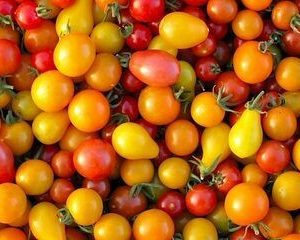 Medley Cherry Tomatoes, 400 gram punnets